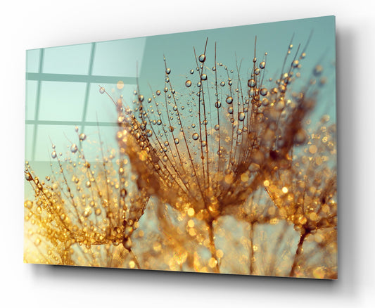 Рисуване на стъкло