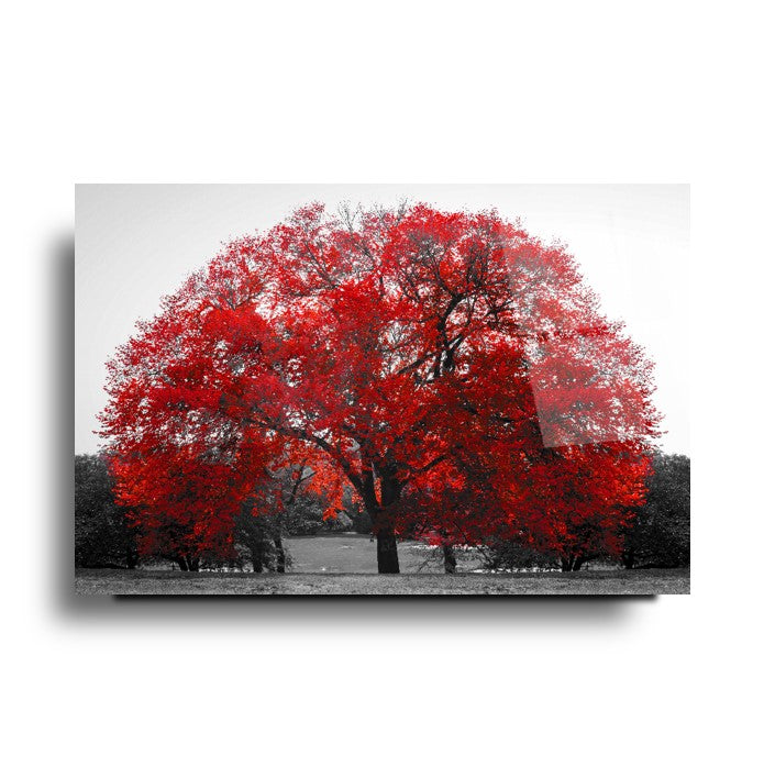 Рисуване на стъкло